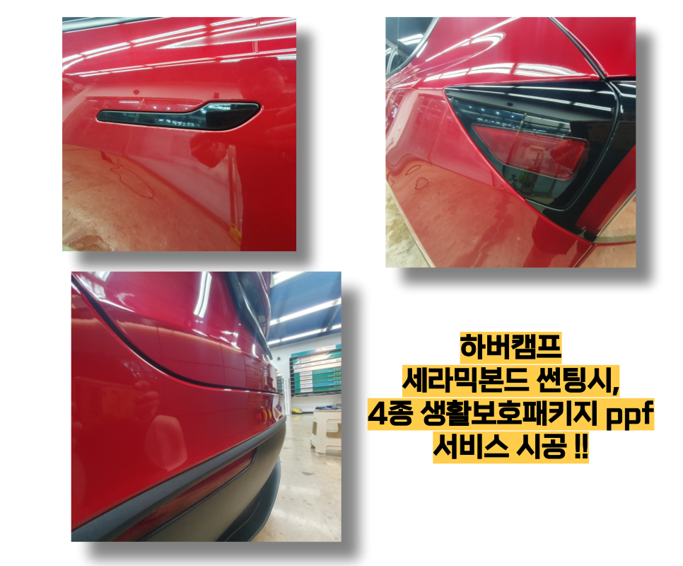 바이렉트 이미지