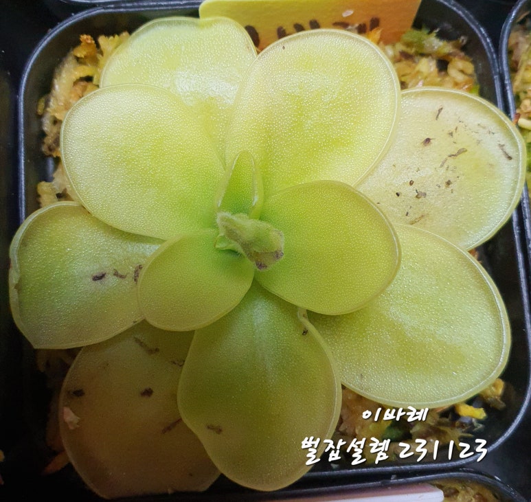 (주)이바다 이미지