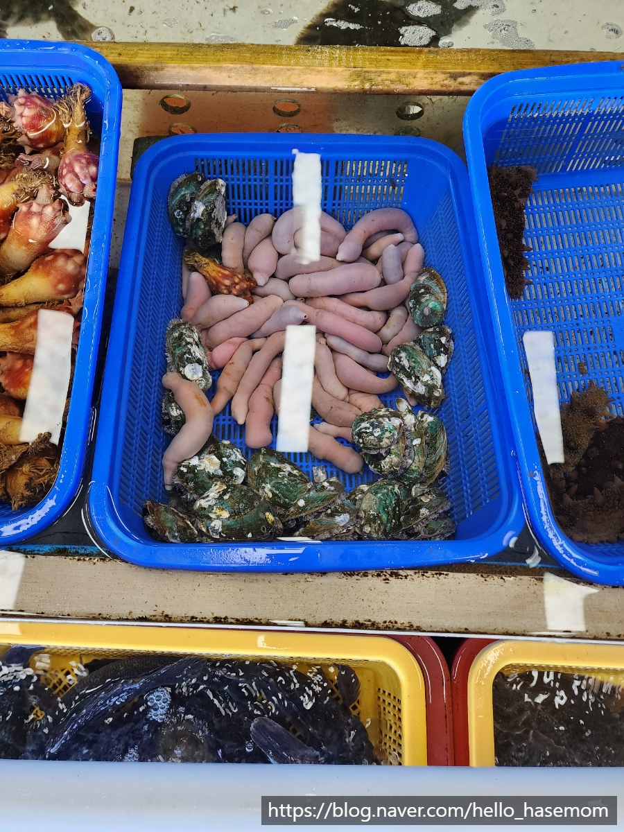 사라수산 이미지