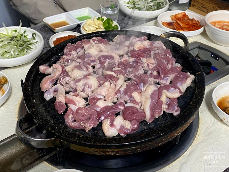 햇살마루청둥오리 이미지