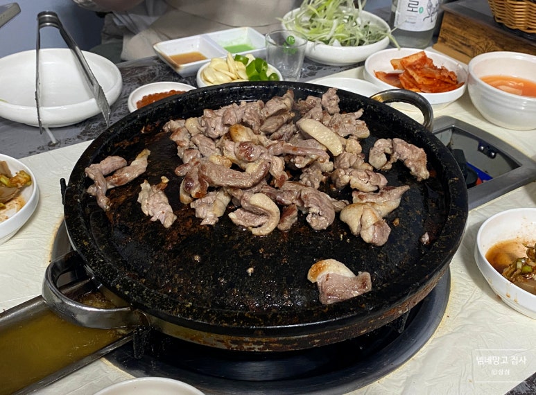 햇살마루청둥오리 이미지