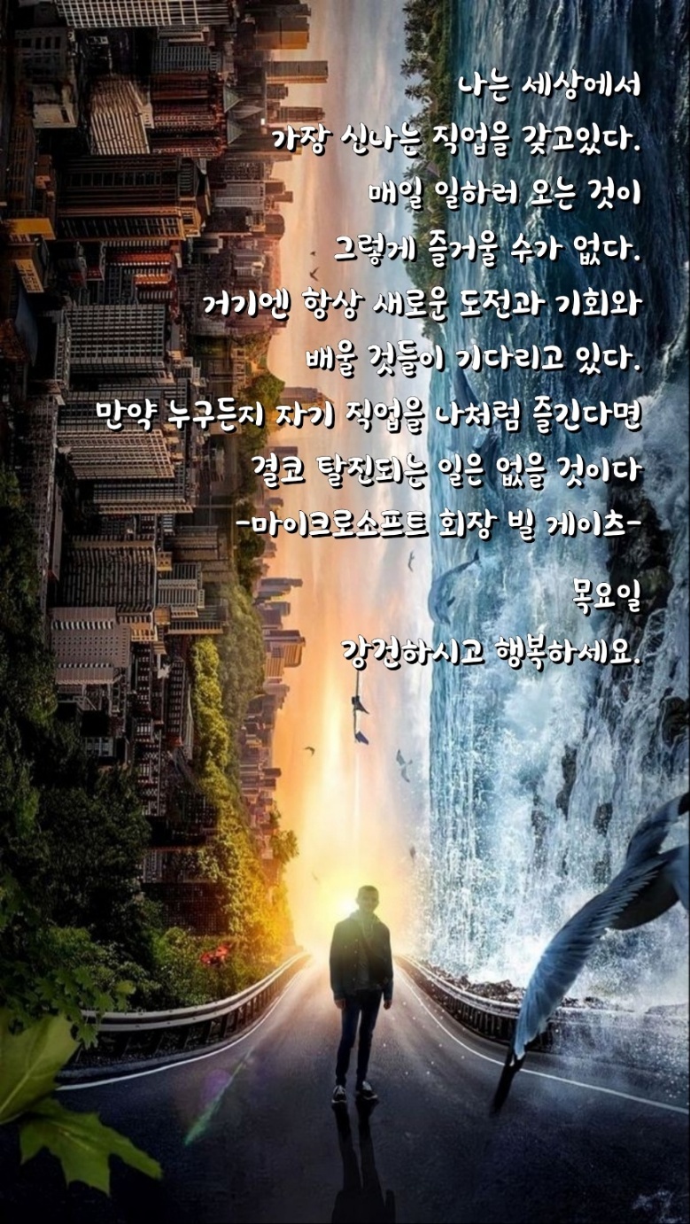 개선스포츠 이미지