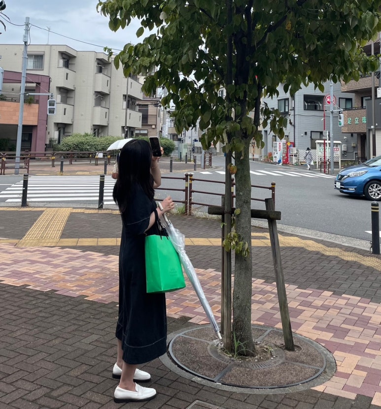 26도네일 이미지