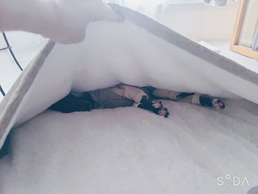 제이드컴 이미지