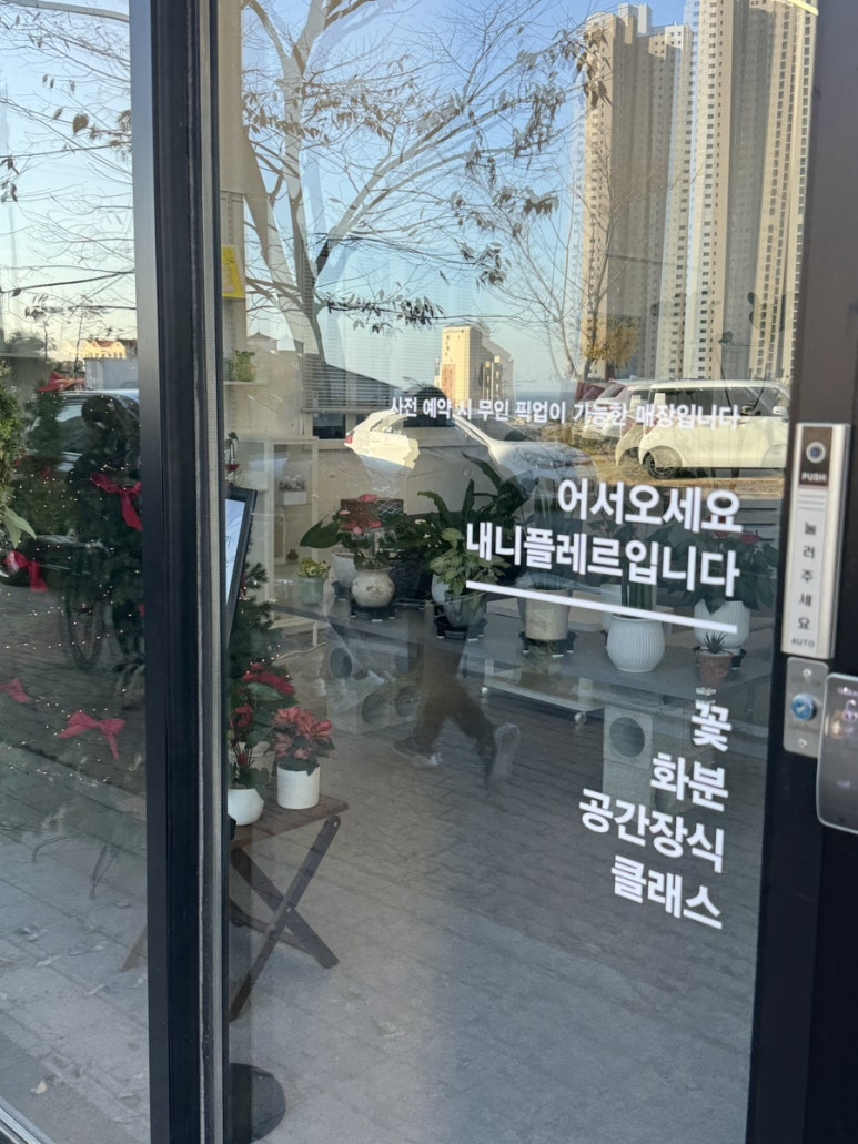 내니플레르 이미지