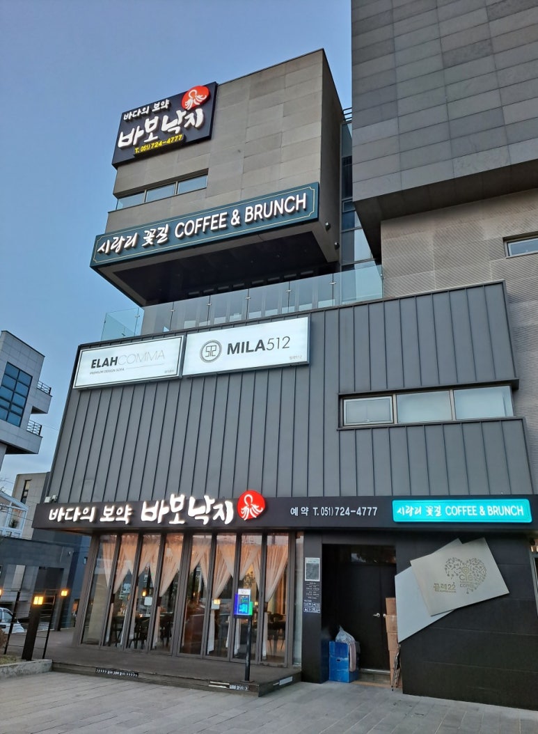 바보낙지 이미지