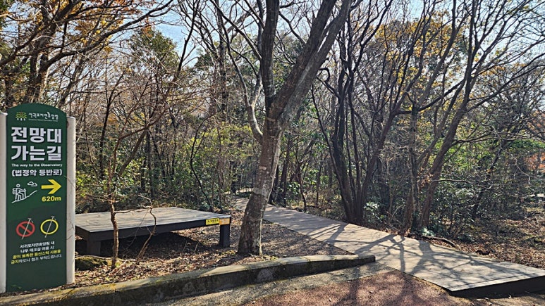 서귀포자연휴양림야영장 이미지