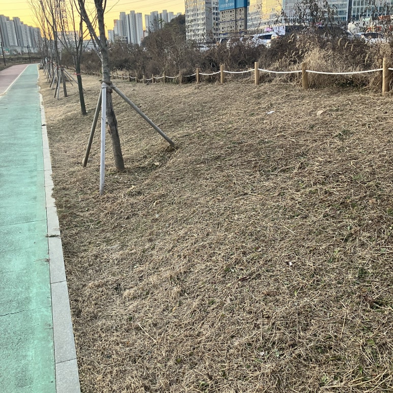 깨끗허니 이미지