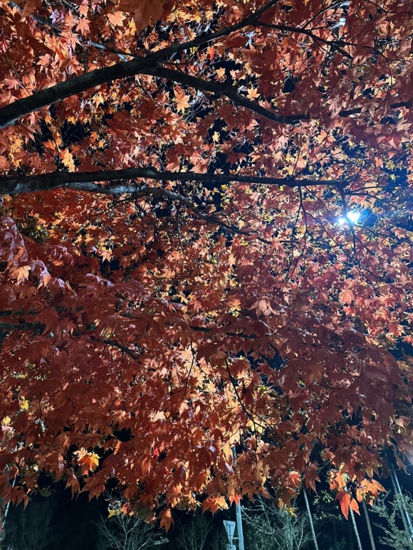 60계 서울세곡점 이미지