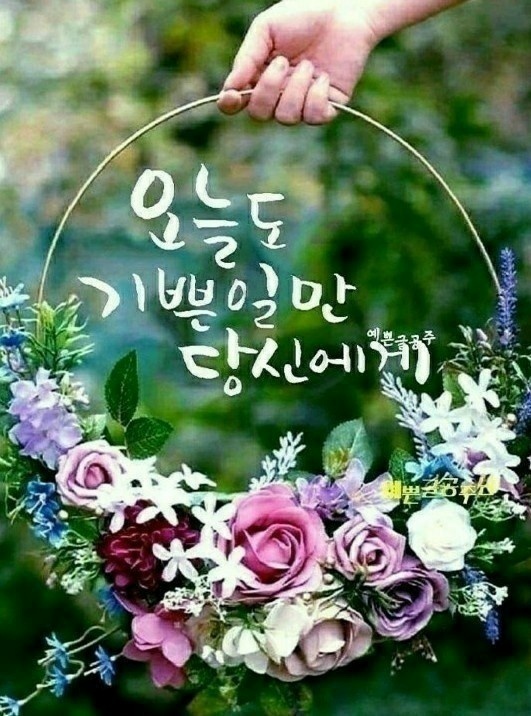 텃밭야채 이미지