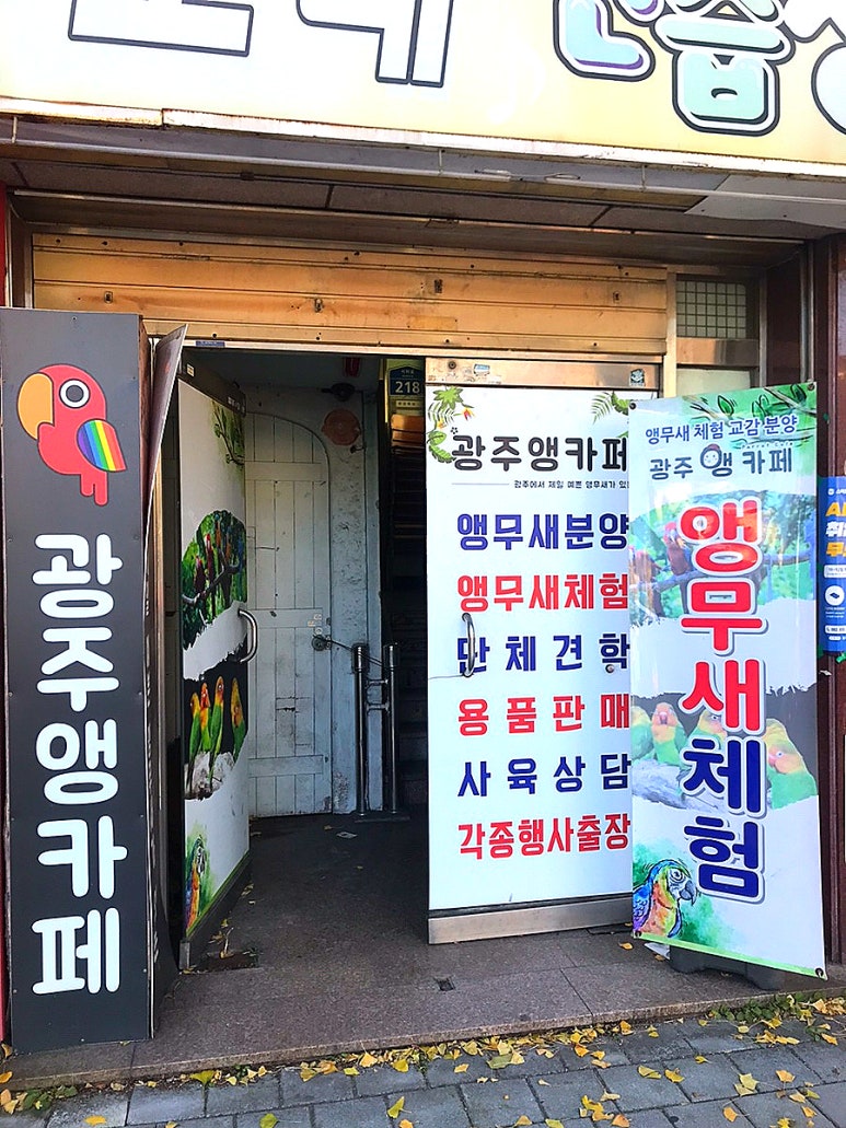 광주앵카페 이미지