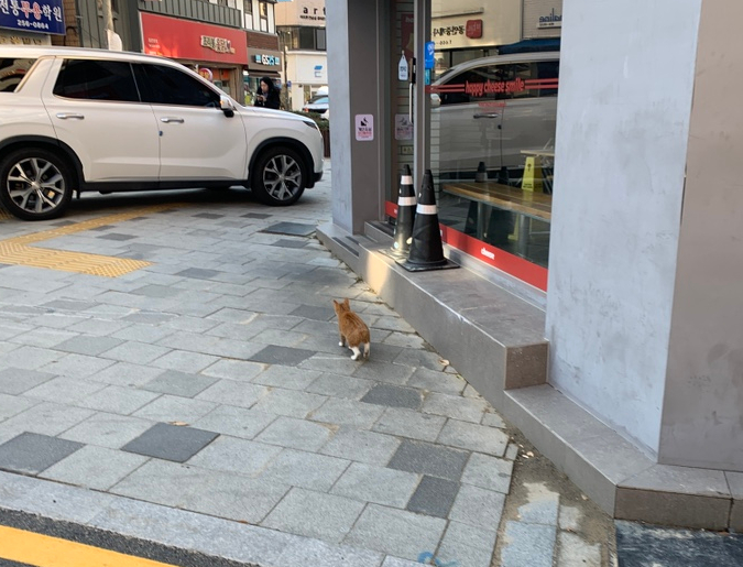 다홍이분식 이미지