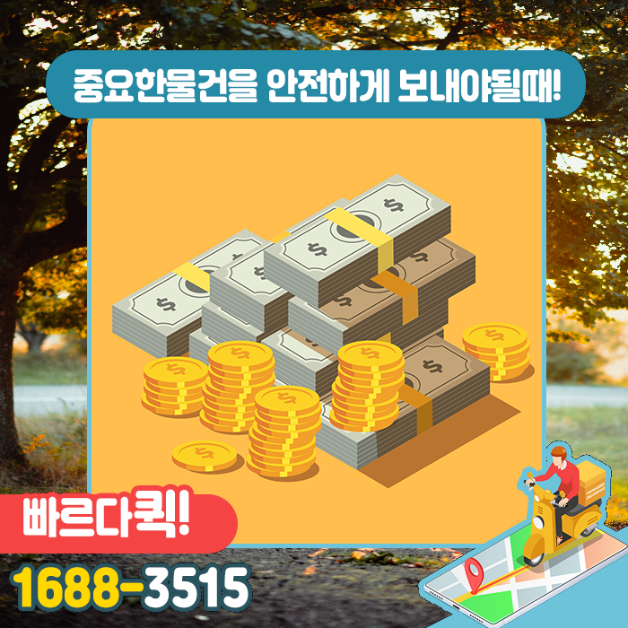 창동퀵서비스 이미지
