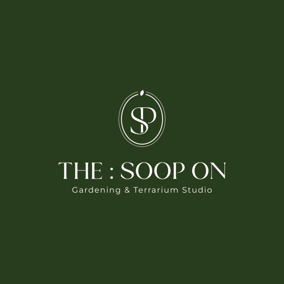 더숲온THESOOPON 이미지
