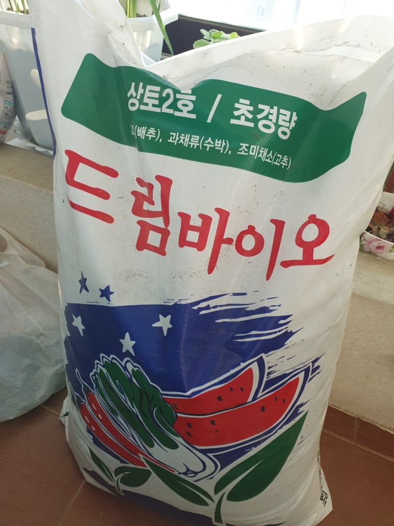 한농종묘 이미지