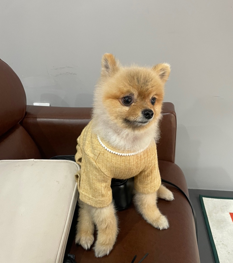 윤스커피 이미지