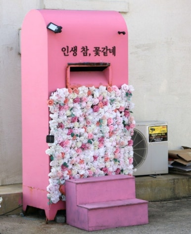 칠포항펜션 이미지