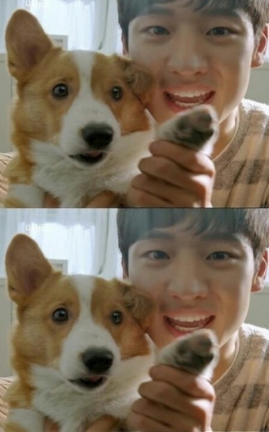 파도봐 이미지