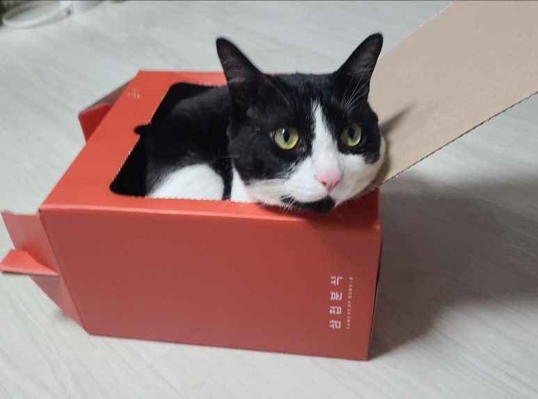 삼첩분식인천서 이미지