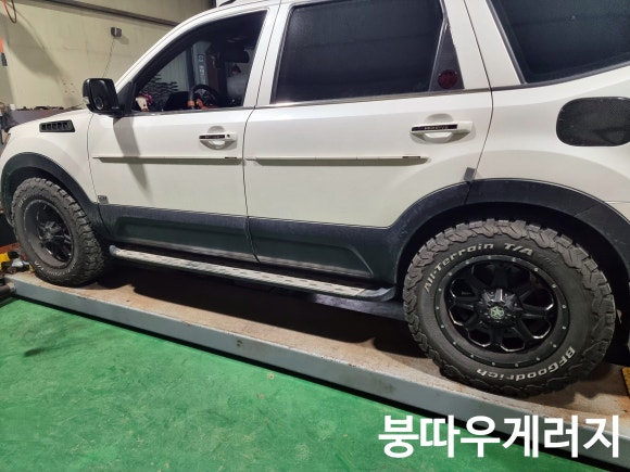 붕따우게러지 이미지