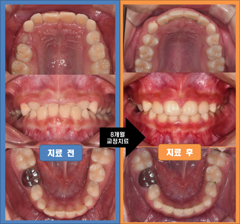 트리지움치과의원 이미지