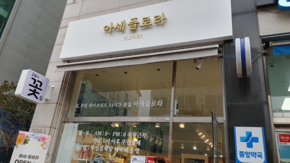 아세플로라 이미지