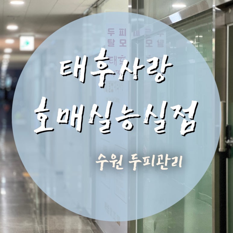 태후사랑평 이미지
