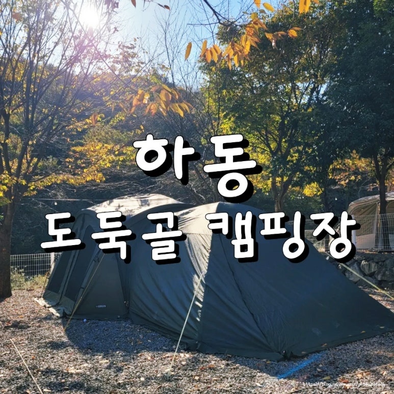 도둑골신규 이미지