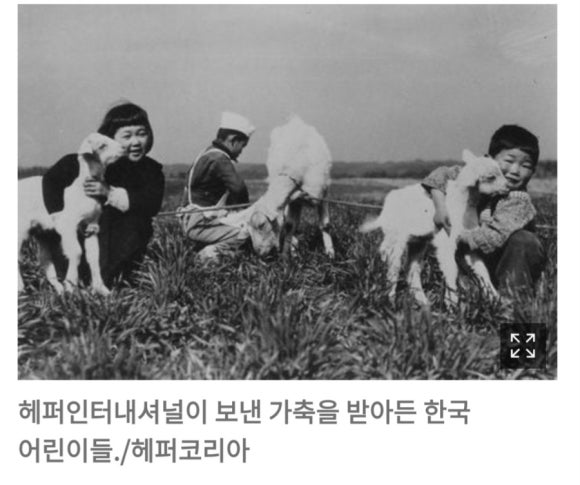 준 인터네셔널 이미지