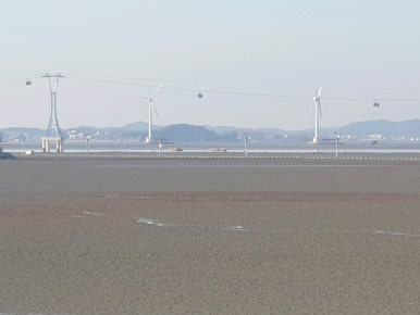큰집닭강정 이미지