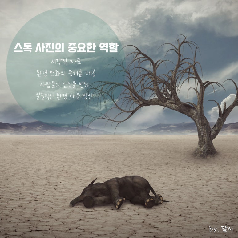 새로운환경 이미지