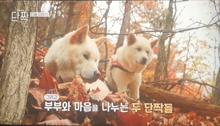 놀이터펜션 이미지