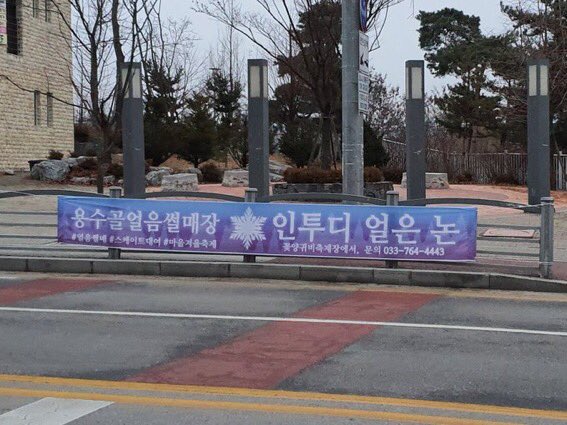 인투디 이미지