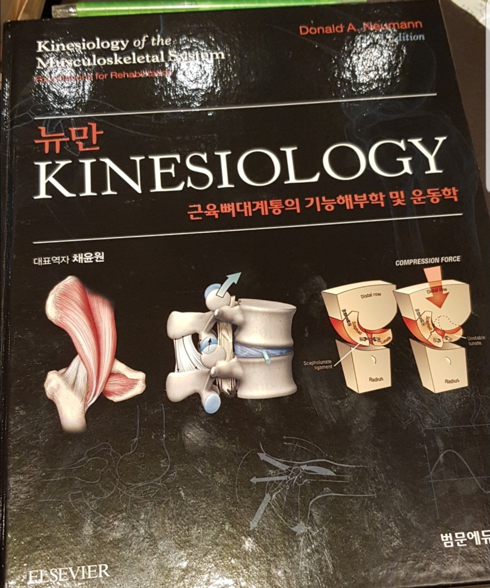 알피짐 이미지