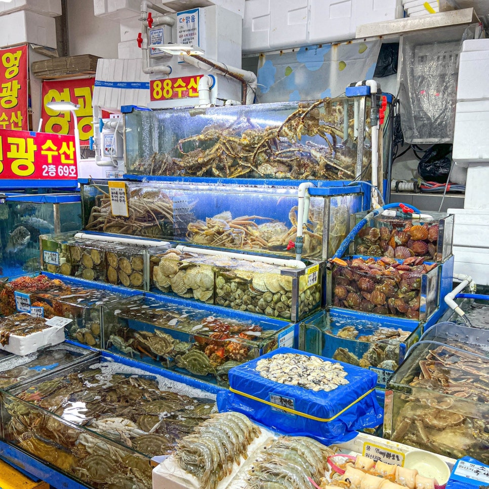 싱싱젓갈수산 이미지