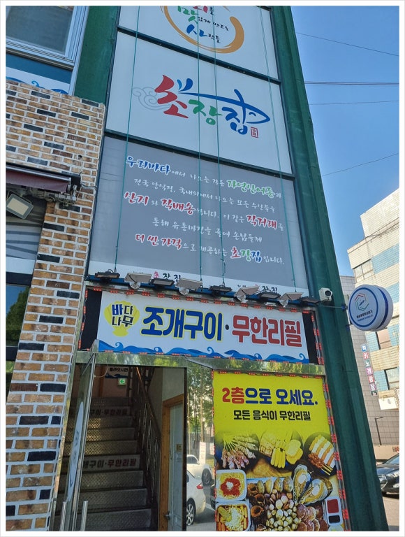 바다나무 이미지