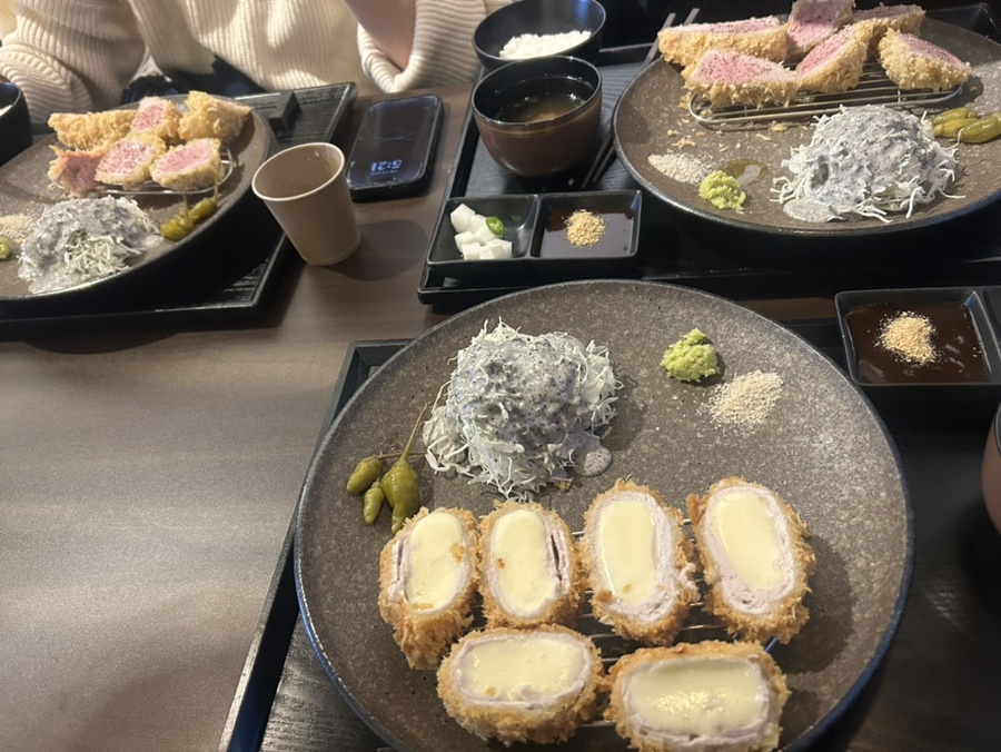 엘리카츠 이미지