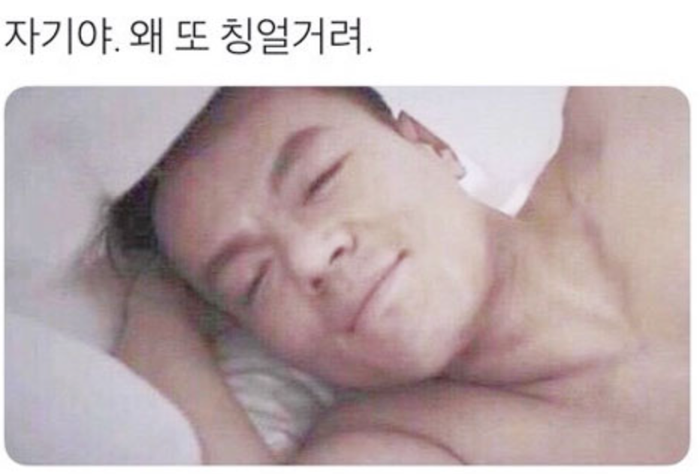 포실 이미지