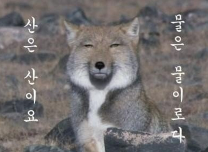 두바퀴상사 이미지