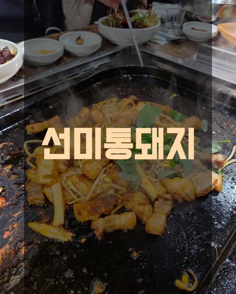 선미통돼지시지 이미지
