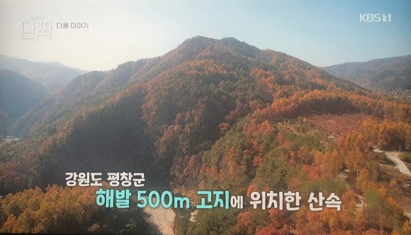 장미펜션 이미지