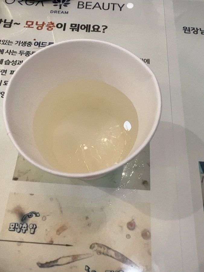 올가드림뷰티삼동점 이미지