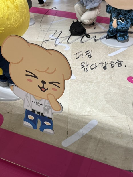 스테이안 이미지