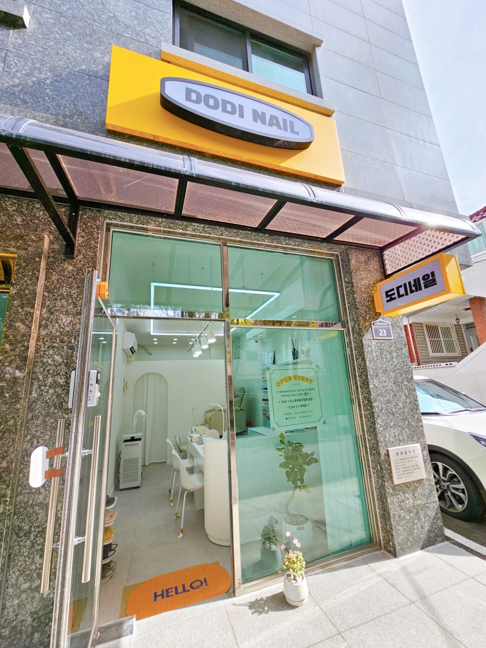 도디 이미지