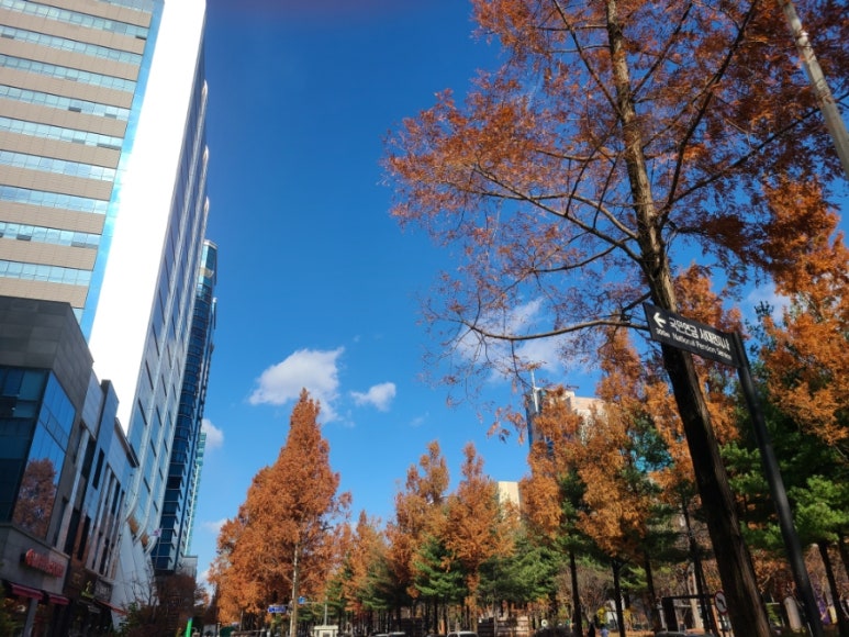 방아실 순두부와굴 이미지