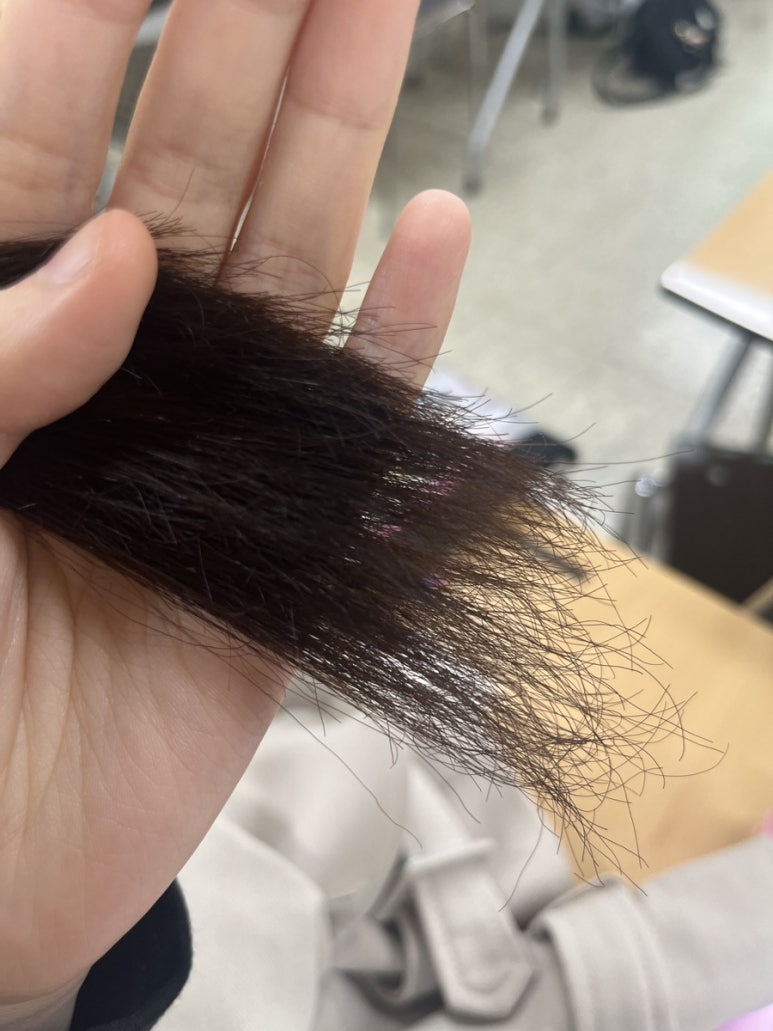 살롱드주비 이미지