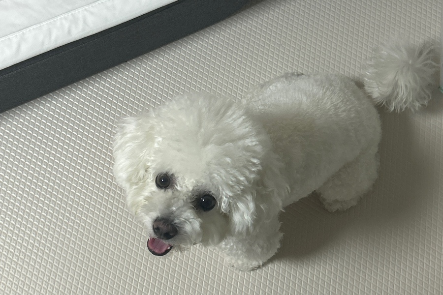두발노래방 이미지