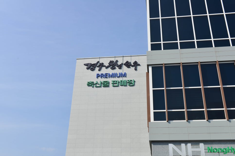 경주식육점 이미지
