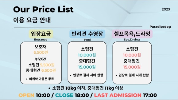 파라다이스독 이미지
