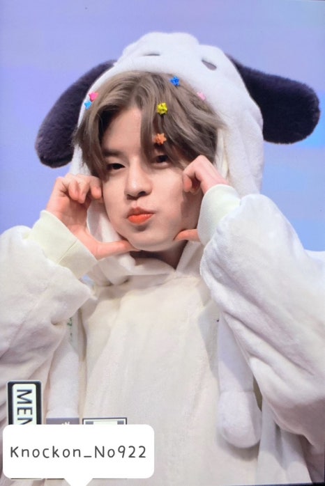 스테이안 이미지